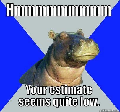 HMMMMMMMMM YOUR ESTIMATE SEEMS QUITE LOW. Skeptical Hippo
