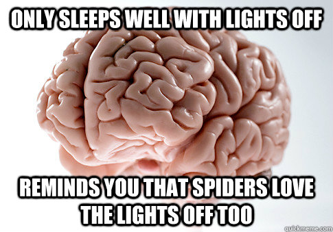Only sleeps well with lights off reminds you that spiders love the lights off too  Scumbag Brain