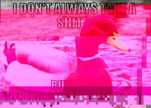 I DON'T ALWAYS TAKE A SHIT BUT WHEN I DO ITS ON A MIDGET Actual Advice Mallard