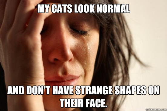My cats look normal and don't have strange shapes on their face.  First World Problems