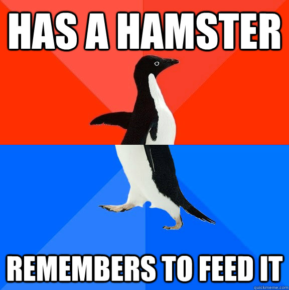 has a hamster remembers to feed it  Socially Awesome Awkward Penguin