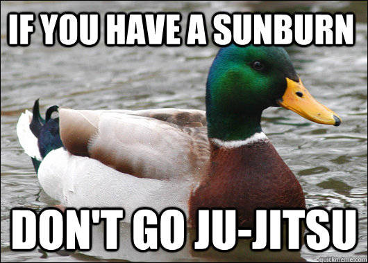 If you have a sunburn Don't go ju-jitsu   Actual Advice Mallard