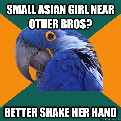 Small Asian Girl Near Other Bros? Better Shake Her Hand  Paranoid Parrot