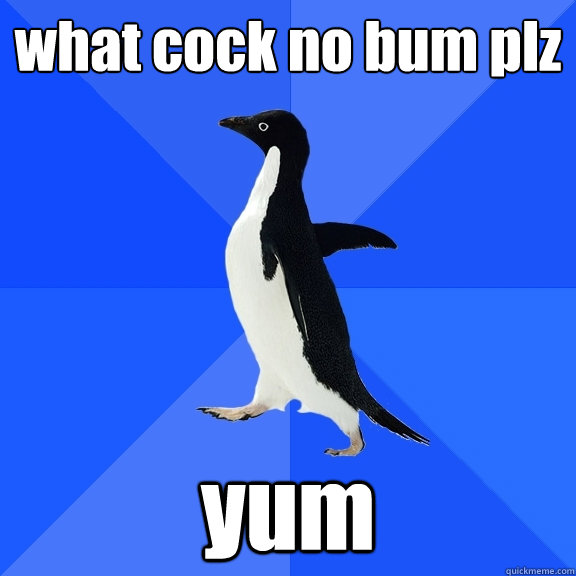 what cock no bum plz yum    Socially Awkward Penguin