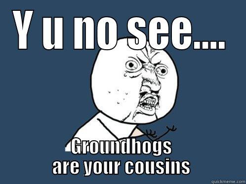 Y u no..... - Y U NO SEE.... GROUNDHOGS ARE YOUR COUSINS Y U No