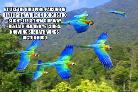  Be like the bird who, pausing in her flight awhile on boughs too slight, feels them give way beneath her, and yet sings, knowing she hath wings.
Victor Hugo
 -  Be like the bird who, pausing in her flight awhile on boughs too slight, feels them give way beneath her, and yet sings, knowing she hath wings.
Victor Hugo
  Misc