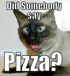 Pizza Cat! - DID SOMEBODY SAY PIZZA? Misc