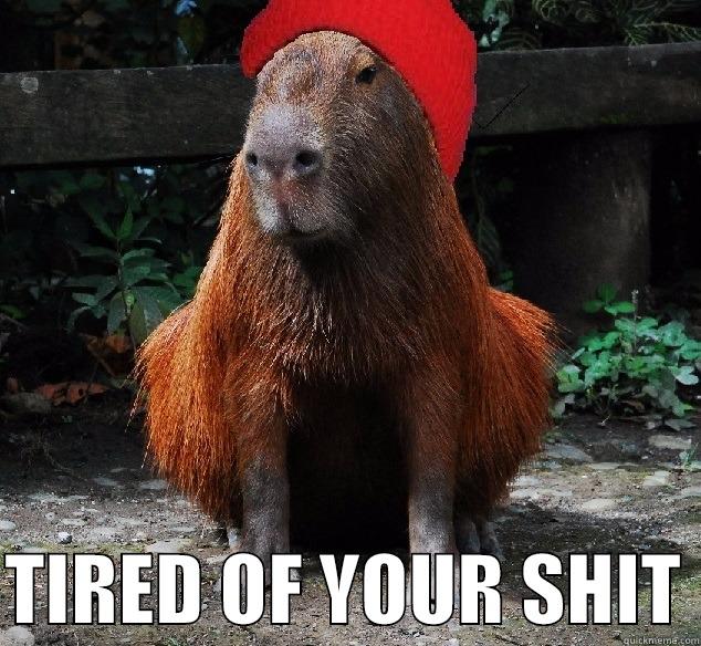   TIRED OF YOUR SHIT Misc