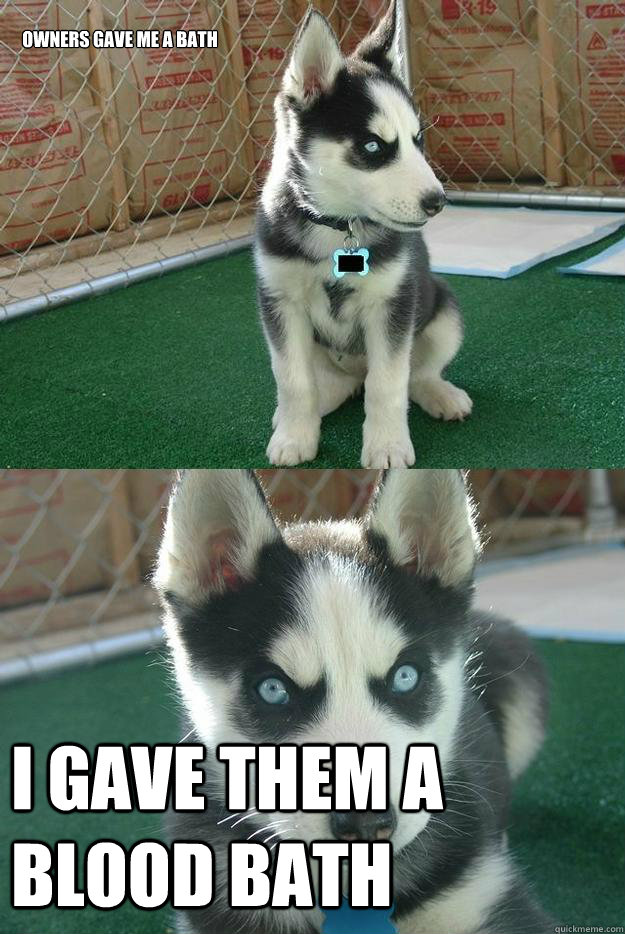 Owners gave me a bath I gave them a blood bath  Insanity puppy