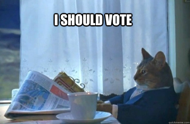 i should Vote  Sophisticated Cat