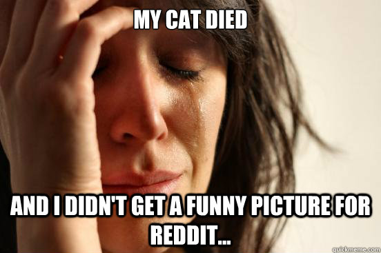 my cat died and i didn't get a funny picture for reddit...  First World Problems