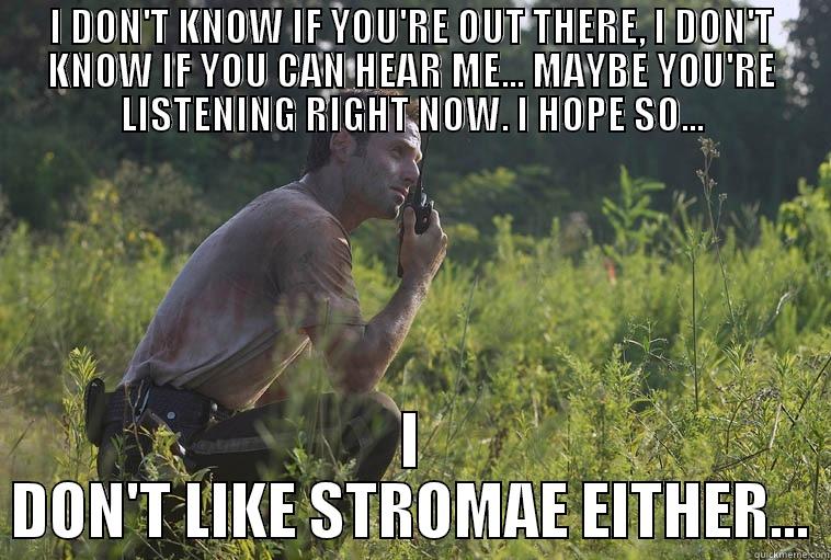 I DON'T KNOW IF YOU'RE OUT THERE, I DON'T KNOW IF YOU CAN HEAR ME... MAYBE YOU'RE LISTENING RIGHT NOW. I HOPE SO... I DON'T LIKE STROMAE EITHER... Misc