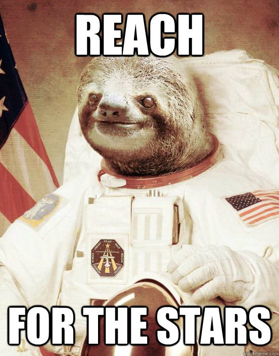 Reach For the Stars - Reach For the Stars  Astronaut sloth