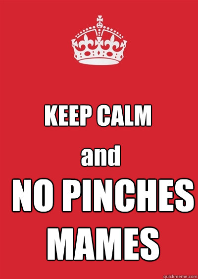 KEEP CALM and

 NO PINCHES
MAMES  Keep calm or gtfo