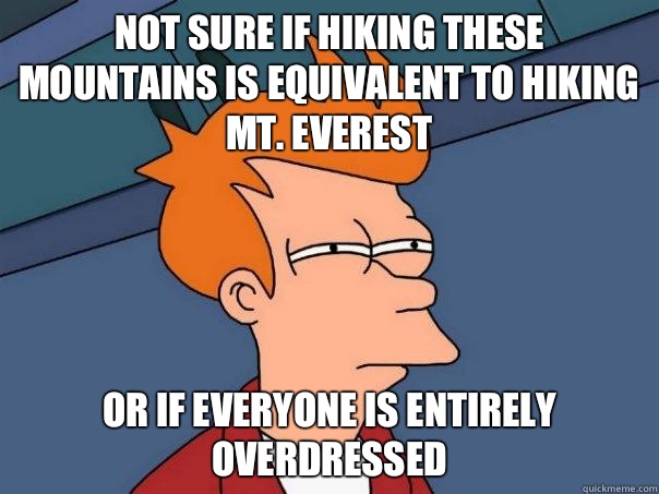 Not sure if hiking these mountains is equivalent to hiking Mt. Everest Or if everyone is entirely overdressed   Futurama Fry