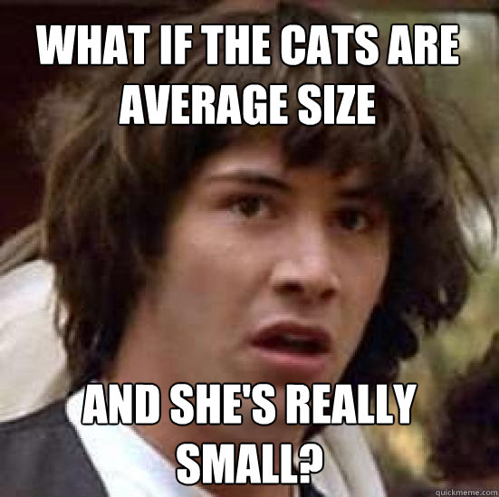 What if the cats are average size and she's really small?  conspiracy keanu