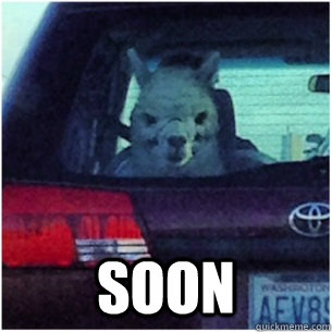  SOON -  SOON  Soon Alpaca