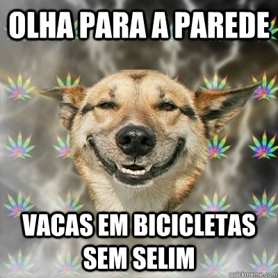OLHA PARA A PAREDE VACAS EM BICICLETAS SEM SELIM  Stoner Dog