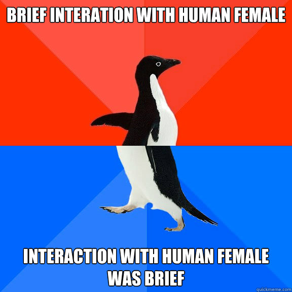 Brief interation with human female Interaction with human female was brief  Socially Awesome Awkward Penguin