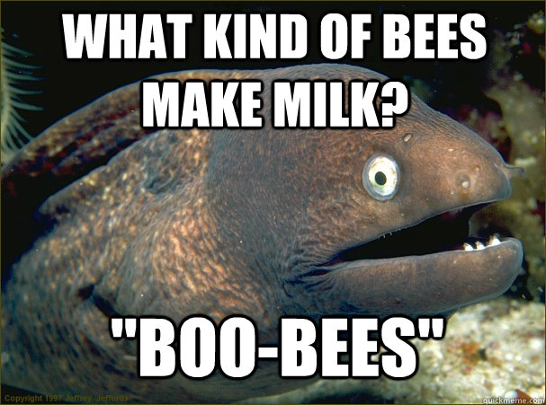 What kind of bees make milk? 