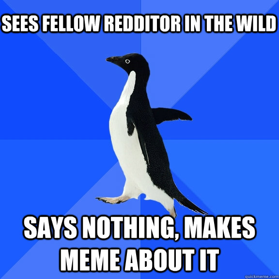 Sees fellow redditor in the wild Says nothing, makes meme about it    Socially Awkward Penguin