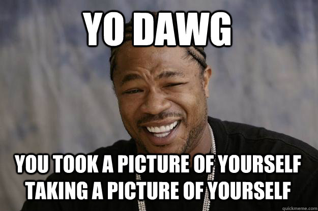 Yo dawg  You took a picture of yourself taking a picture of yourself  Xzibit meme