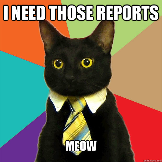 I need those reports Meow  Business Cat