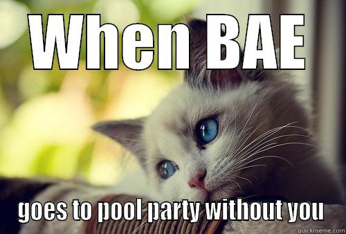 WHEN BAE GOES TO POOL PARTY WITHOUT YOU First World Problems Cat