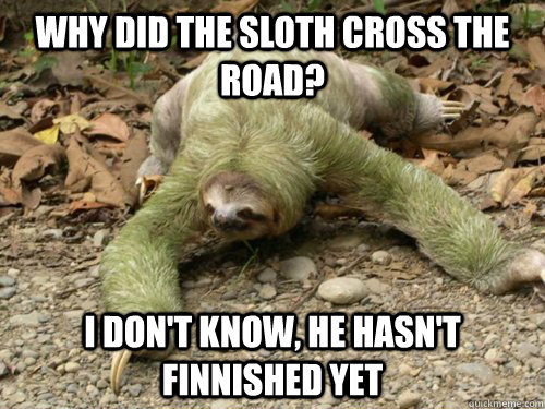 Why did the sloth cross the road? I Don't know, he hasn't finnished yet  