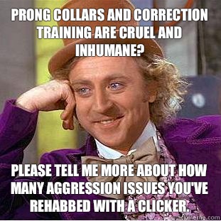 Prong collars and correction training are cruel and inhumane?  please tell me more about how many aggression issues you've rehabbed with a clicker.   Condescending Wonka