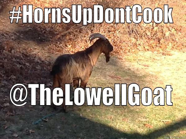 #HORNSUPDONTCOOK @THELOWELLGOAT Misc