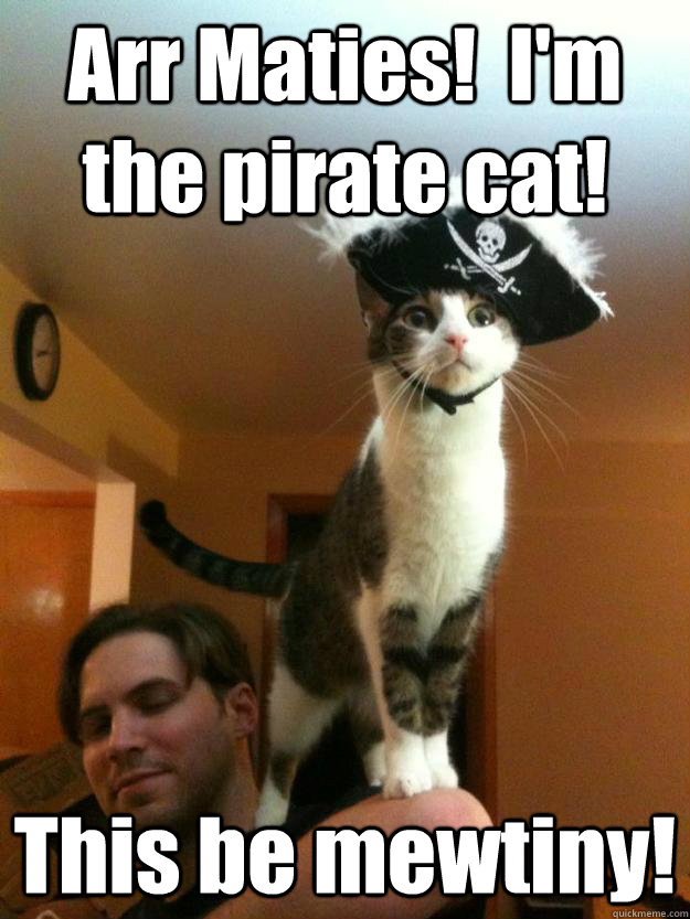 Arr Maties!  I'm the pirate cat! This be mewtiny!  