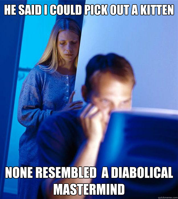 He said I could pick out a kitten None resembled  a diabolical mastermind  Redditors Wife