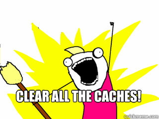  Clear all the caches!  All The Things
