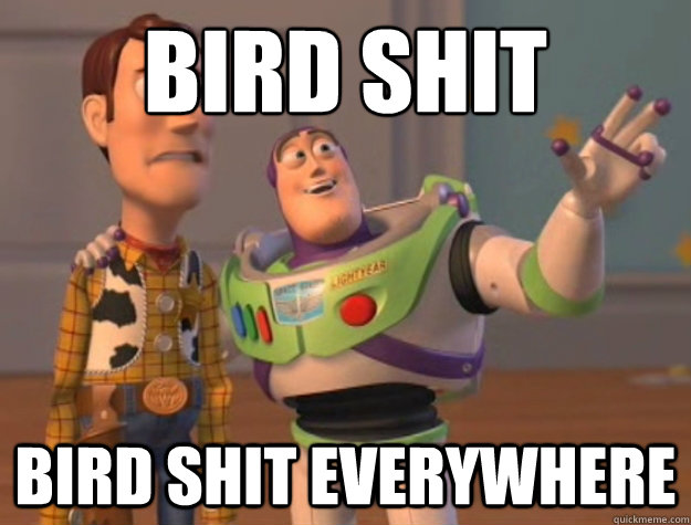 bird shit bird shit everywhere - bird shit bird shit everywhere  Buzz Lightyear