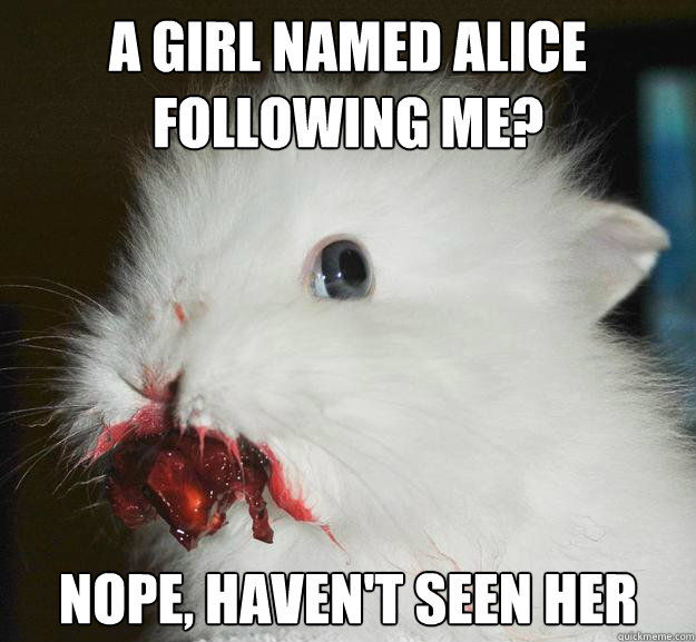 a girl named alice following me? nope, haven't seen her - a girl named alice following me? nope, haven't seen her  Murder Bunny