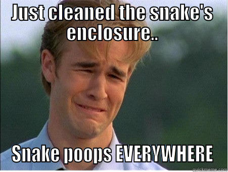 JUST CLEANED THE SNAKE'S ENCLOSURE.. SNAKE POOPS EVERYWHERE 1990s Problems