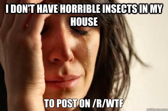 I don't have horrible insects in my house to post on /r/WTF  First World Problems