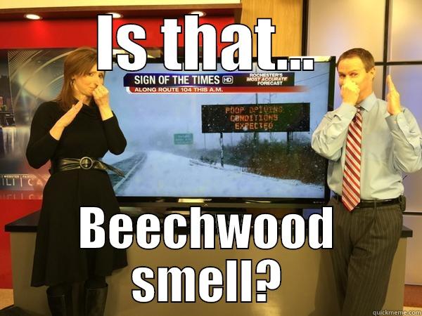 IS THAT... BEECHWOOD SMELL? Misc