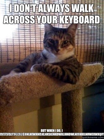 I don't always walk across your keyboard but when I do, I wecjohndcsAO2)98!29!)73!sly)!@2@$)inlhewxnisklnxskjnxdwxlihndwlni!ihxilnhwexwxqIynnubyoobyuBUYOybu  The Most Interesting Cat in the World