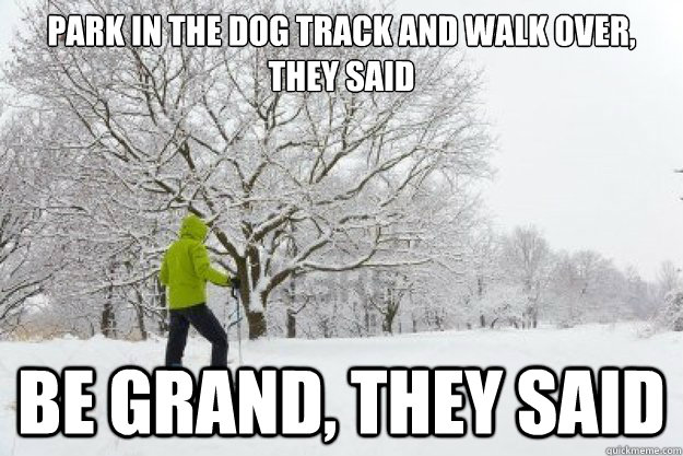 Park in the dog track and walk over, they said Be grand, they said - Park in the dog track and walk over, they said Be grand, they said  Dogtrack2