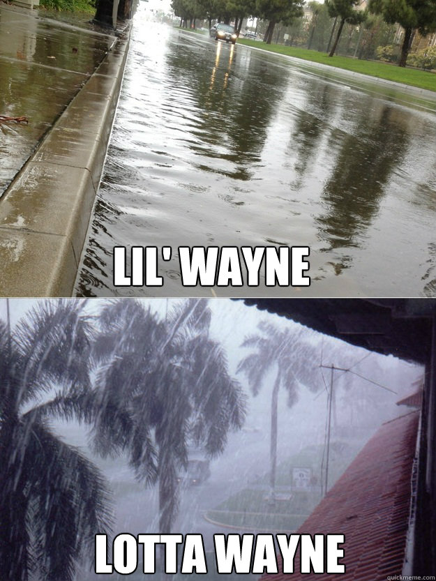 LIL' WAYNE LOTTA WAYNE  