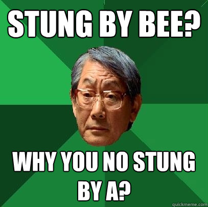 stung by bee? why you no stung by A? - stung by bee? why you no stung by A?  High Expectations Asian Father