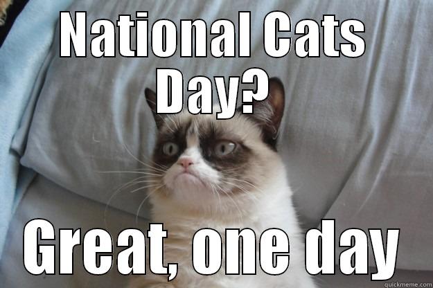 NATIONAL CATS DAY? GREAT, ONE DAY Grumpy Cat