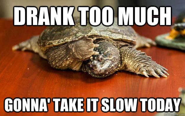 Drank too much Gonna' take it slow today - Drank too much Gonna' take it slow today  Hangover turtle