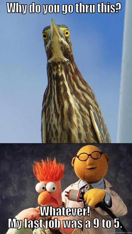 WHY DO YOU GO THRU THIS?  WHATEVER! MY LAST JOB WAS A 9 TO 5. Misc