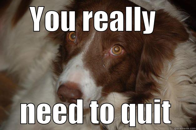 YOU REALLY  NEED TO QUIT Misc