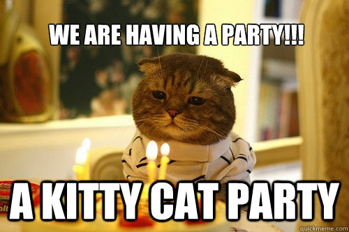 We are having a Party!!! A Kitty CAT PARTY - We are having a Party!!! A Kitty CAT PARTY  Birthday cat