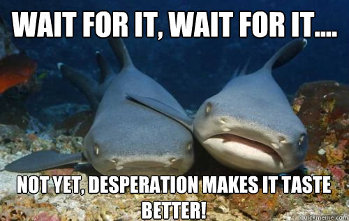 wait for it, wait for it.... not yet, desperation makes it taste better!  Compassionate Shark Friend