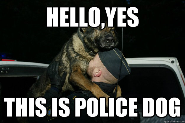 Hello,yes this is police dog - Hello,yes this is police dog  Police Dog